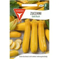 FRANKONIA Gemüsesamen Zucchini, Gold Rush F1 - Saatgut Zucchini-Samen Samen, Cucurbita pepo