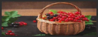 Küchenteppich 4386 | Größe: 75 cm x 120 cm