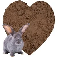 Petigi Badesand Kaninchen Buddelsand 25 kg Buddelkiste Hasen Chinchilla Nager