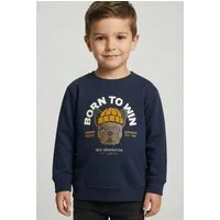 Name It Sweatshirt NMMRIGUNA LS NREG SWEAT BRU BOX