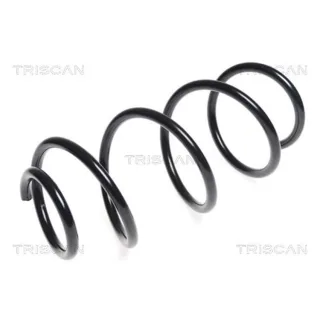 Triscan Feder vorne Hyundai Ix20 Kia Venga 875043104