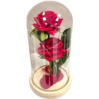 VERK GROUP Geschenkbox Ewige Rose 2er im Glas mit RGB licht Rose Geschenke für Frauen