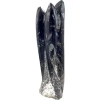 Steinfixx® Skulptur Orthoceras Skulptur (1 St)