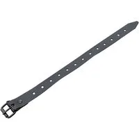 LYSEL® Schnallriemen mit Rollschnalle für Planen schwarz, Länge 350mm Gurtstecker (1-tlg), 350 x 20 mm [L x B]