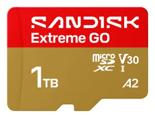 SanDisk Extreme Go | sdsqxgn-1t00-gn6mn | Flash-Speicherkarte - 1