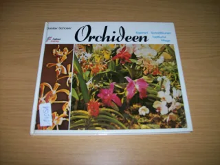 Orchideen. Eigenart Schnittblumen Topfkultur Pflege