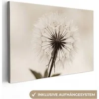 OneMillionCanvasses® Leinwandbild Pusteblume - Minimalistisch - Weiß, Fotodruck (1 St), Leinwand Bilder Klein, Wand Dekoration Aesthetic 30x20 cm