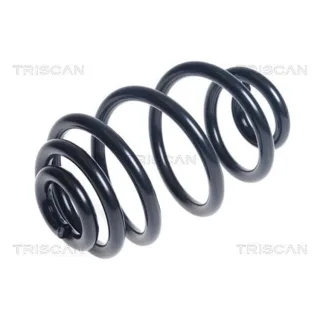 Triscan Feder hinten BMW Z4 875011173