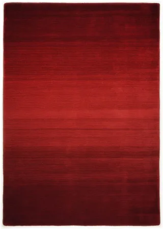 Rot