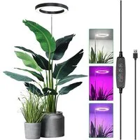 Jibenhome Pflanzenlampe LED Vollspektrum Pflanzenlicht für Zimmerpflanzen, Höhenverstellbares, mit Zeitschaltuhr 3/9/12 Std, USB, 3 Lichter Modi und 10 Helligkeit