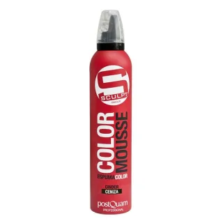 FARB-SCHAUMFESTIGER ASCHE 300 ML.