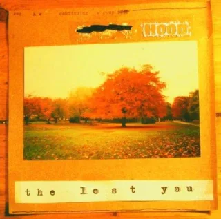The Lost You