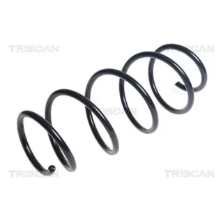 Triscan Feder vorne Mercedes E-Klasse W212 875023173
