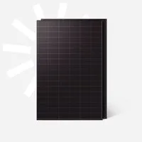 Kleines Kraftwerk Solarmodul, 1000 W, Monokristallin, (2-St), 2x 500W