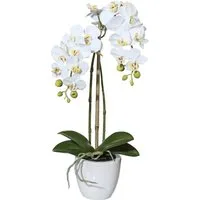 Kunstpflanze Orchidee Phalaenopsis Orchidee, Creativ green, Höhe 43 cm, im Keramiktopf