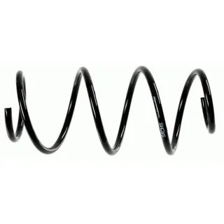 Sachs Feder vorne Renault Clio Modus 998748