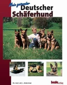 Bede Mein gesunder Deutscher Schäferhund