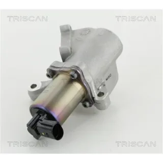 Triscan AGR-Ventil Ssangyong Actyon Kyron Rexton Rodius