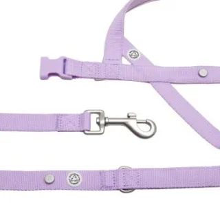 Barkalot Hundegeschirr-Spazierset flieder M