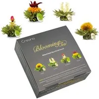 Creano Tee Edle Geschenkbox 4 Teelini weißer & grüner Tee im Tassenformat, 1 x 1 St.