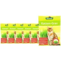 Dehner Katzengras Samen, 6 x 100 g Tüte, Snack für: Katze, auch für Nagetiere geeignet