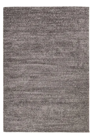 120 x 170 cm