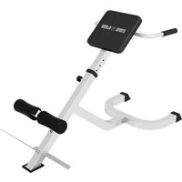GORILLA SPORTS Trainingsstation Rückenstrecker Gerät, (1-tlg)