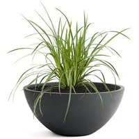 Pflanzwerk® Pflanzschale Pflanzkübel BOWL Frostbeständige Premium Blumenschale mit Lotus-Effekt, Fiberglas - Handgefertigt - Rund - Frostbeständig