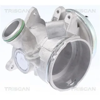 Triscan AGR-Ventil Mercedes C-Klasse Clk E-Klasse G-Klasse M-Klasse