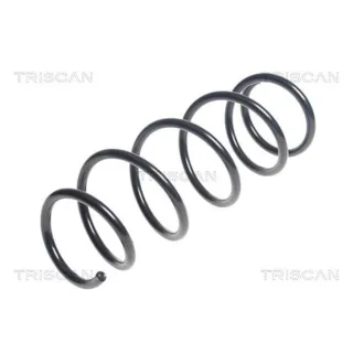 Triscan Feder vorne Suzuki Swift 4 87506959