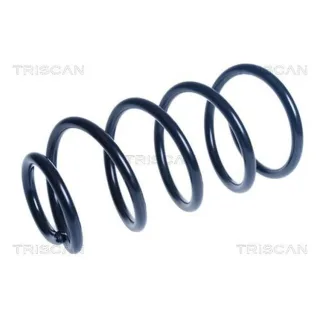 Triscan Feder vorne Ford Kuga 2 2,0 875016185