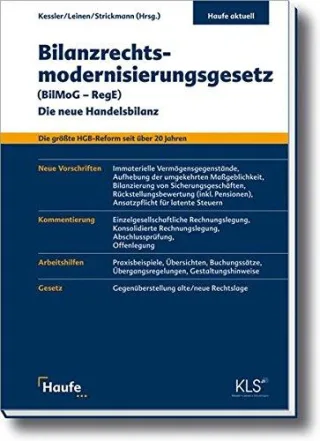 Bilanzrechtsmodernisierungsgesetz (BilMoG - RegE): Die neue Handelsbilanz
