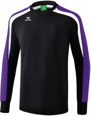 HERREN SWEATSHIRT LIGA LINE 2.0 SWEATSHIRT (1071870-950731)