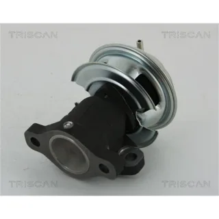 Triscan AGR-Ventil Kia Carnival 2 GQ 2,5 V6