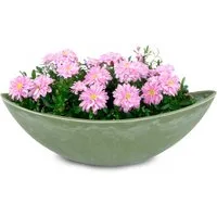 matches21 HOME & HOBBY Blumentopf Große Pflanzschale oval 39 cm für draussen Dekoschale grün (1 St), Blumen-Schale als wetterfeste Friedhof-Schale Grab-Schmuck Grabschale