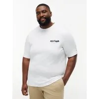 Tommy Hilfiger Big & Tall T-Shirt BT-PHOTO PRINT HILFIGER mit großem Rückenprint