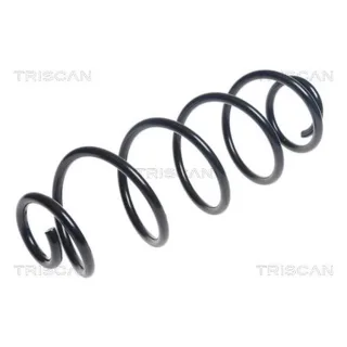 Triscan Feder hinten Citroen C4 Opel Grandland Peugeot 3008 308