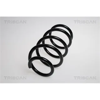 Triscan Feder vorne Citroen Fiat Peugeot 875015126