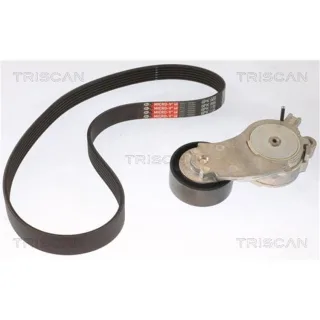 Triscan Keilrippenriemensatz Ford Volvo 864216010