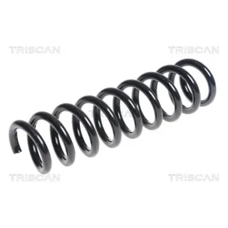 Triscan Feder hinten BMW 1er F20 F21