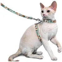 Supet Katzen-Halsband Ausbruchsicheres Katzengeschirr und Leine für kleine große