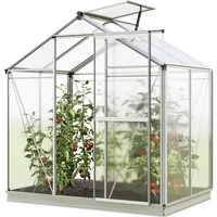 GFP Gewächshaus Jasmin 2, inkl. Alu-Fundamentrahmen & automatischem Fensteröffner