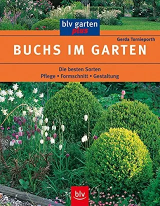 Buchs im Garten: Die besten Sorten Pflege · Formschnitt · Gestaltung