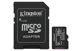 Kingston Canvas Select Plus | sdcs3/256gb | Flash-Speicherkarte (SD-Adapter inbegriffen)