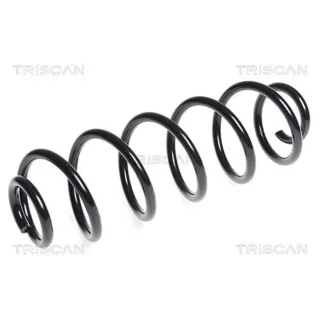 Triscan Feder hinten Audi A4 A6 875029272