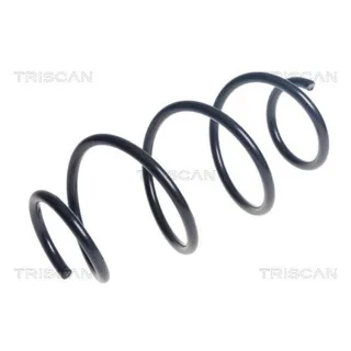 Triscan Feder vorne Opel Grandland Peugeot 3008