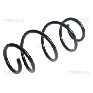 Triscan Feder hinten Dacia Dokker 875025152