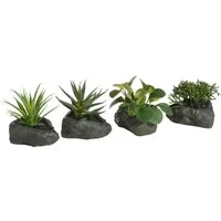 Kunstpflanze Sukkulenten, OTTO home, Höhe 12 cm, 4er Set