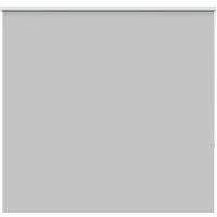 Rollo Verdunkelungsrollo Hellgrau 150x150cm Stoffbreite 146,6cm, vidaXL