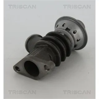 Triscan AGR-Ventil Citroen Peugeot 881328100